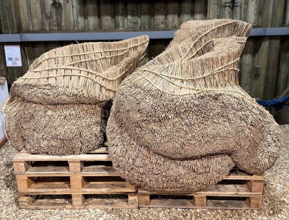 Laura Ellen Bacon tweet media