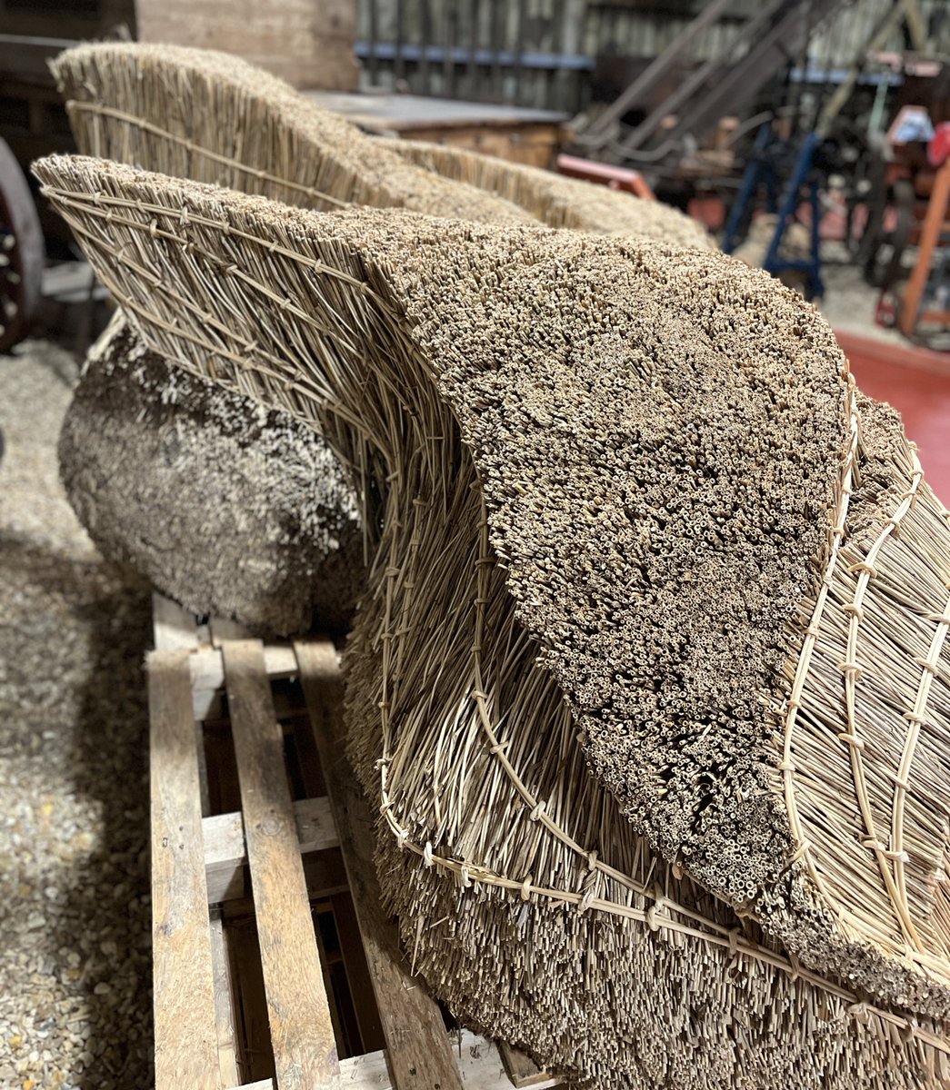 Laura Ellen Bacon tweet media