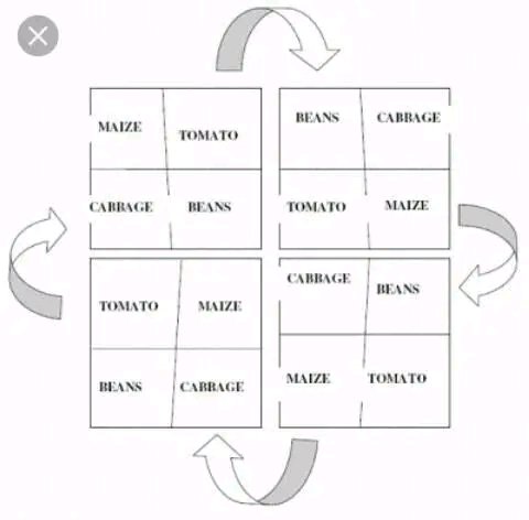 FARM LESSON: CROP ROTATION (Definition, Importance and Considerations ...