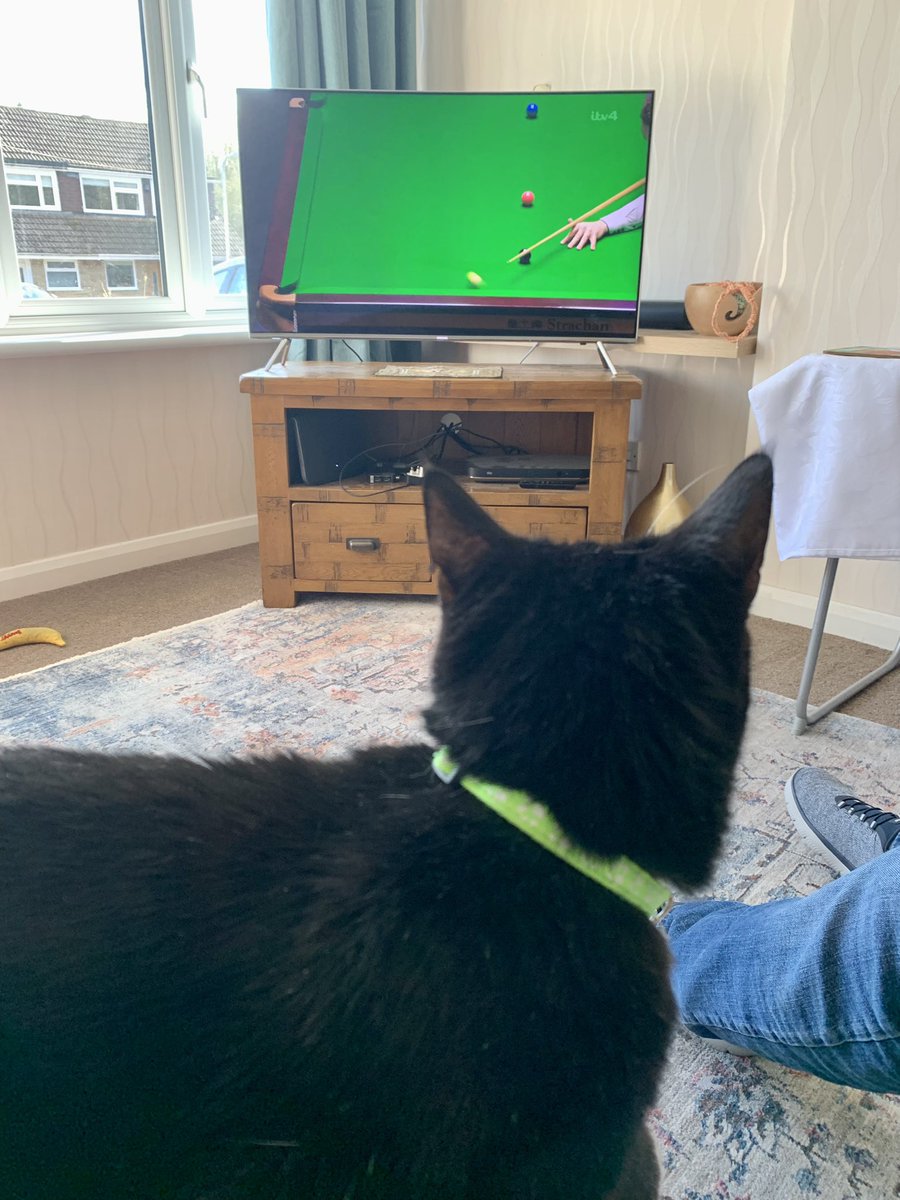 Watching the snooker.
#CueOfDoom