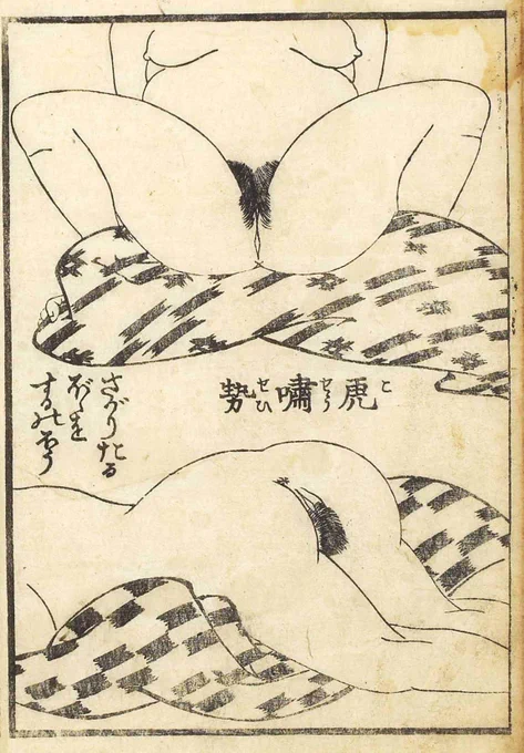 江戸期の『陰陽淫蕩の巻』というハウツー本に、丁寧な挿絵入りで女陰が下付きのときは厚みのある布を折って高さをつくると挿入しやすいぞって書いてる。 