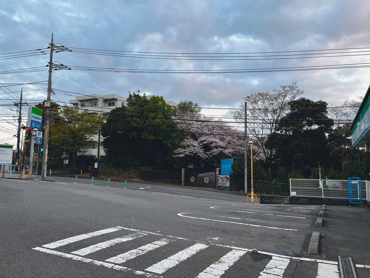 8ruu__'s tweet photo. さよなら青葉台、3年間ありがとうございました！！！
引越してきた直後に大学がオンラインになって引越してきた意味…ってなって、家族に1年間会えなくなって、引越すんじゃなかったって何度も泣いたけど、なんだかんだ住み心地よくていつのまにか大好きな町になってました。
ﾊﾞｲﾊﾞｲもう帰りたい https://t.co/H01lPPiVKK