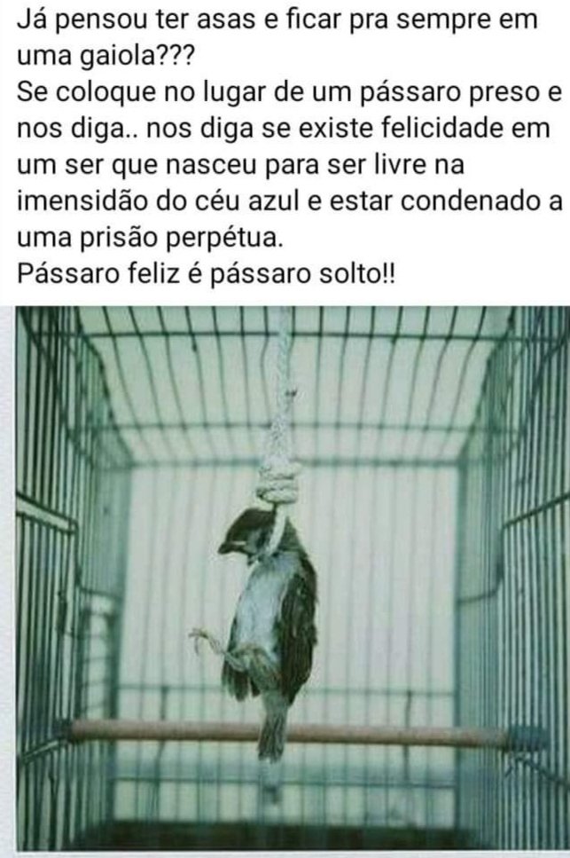 JM (@josemarques4526) / Posts / X