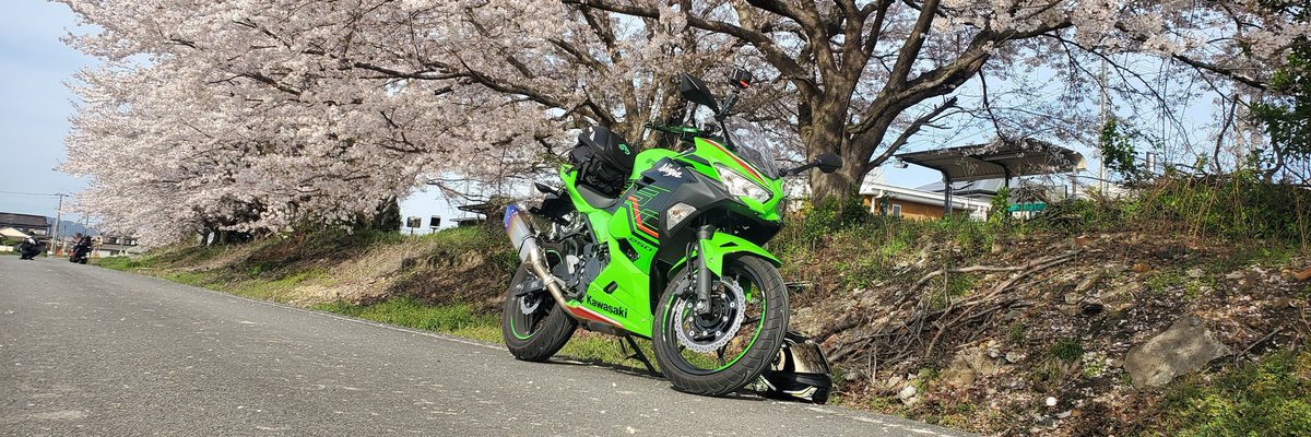 impottible33's tweet photo. 桜も散りかけでバイクとのショットも今年は最後かなぁ
次は新緑で滋賀にでもいくか！ https://t.co/dx6OsvPrVK