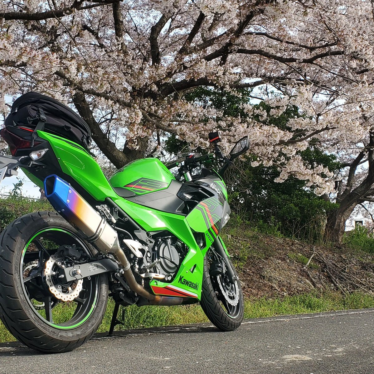impottible33's tweet photo. 桜も散りかけでバイクとのショットも今年は最後かなぁ
次は新緑で滋賀にでもいくか！ https://t.co/dx6OsvPrVK