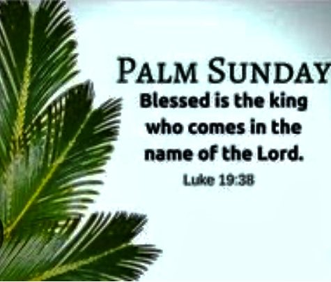 ldaniel609's tweet image. 