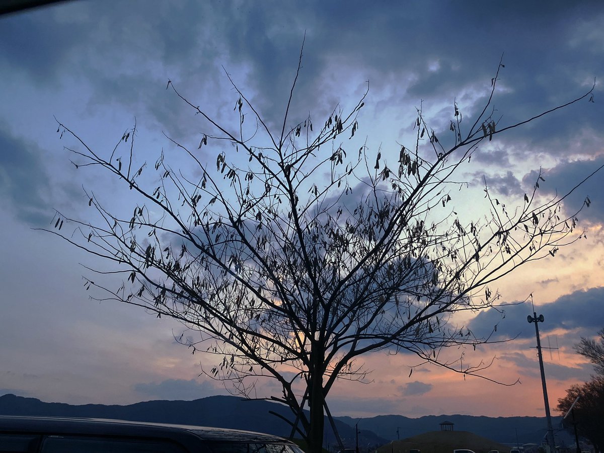 Tanaka08150's tweet photo. いい感じに取れた空
 #写真  #空 https://t.co/SrhPtOCNhx