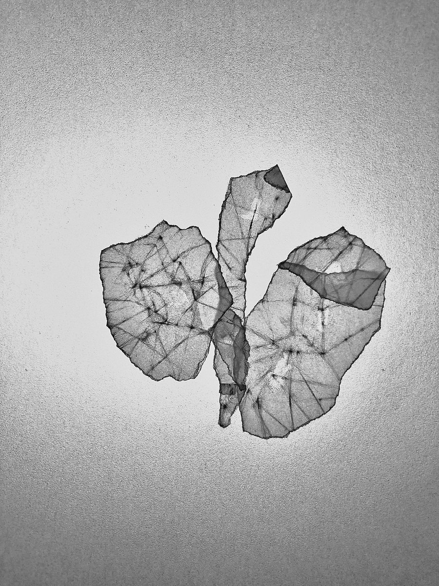hashimotoka's tweet photo. The shape of time.-Energy Void. https://t.co/4VOPyZQqVW