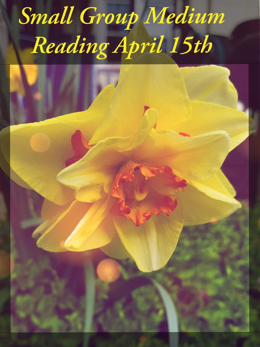 mediumjennylea's tweet photo. My next Smal Group Reading is April 15th! Tickets available through Eventbrite. Go to the Events and Classes page of my website. Link in the bio! #medium #mediumreading https://t.co/UfrSGGJzs6