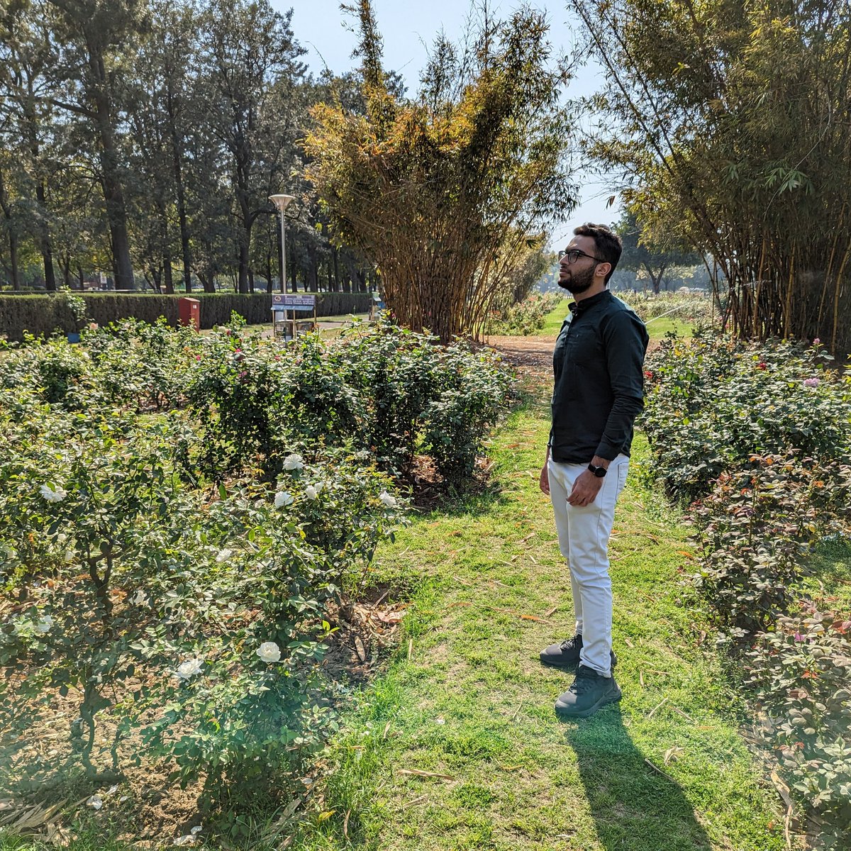 ayushtharwani07's tweet image. #NewProfilePic
