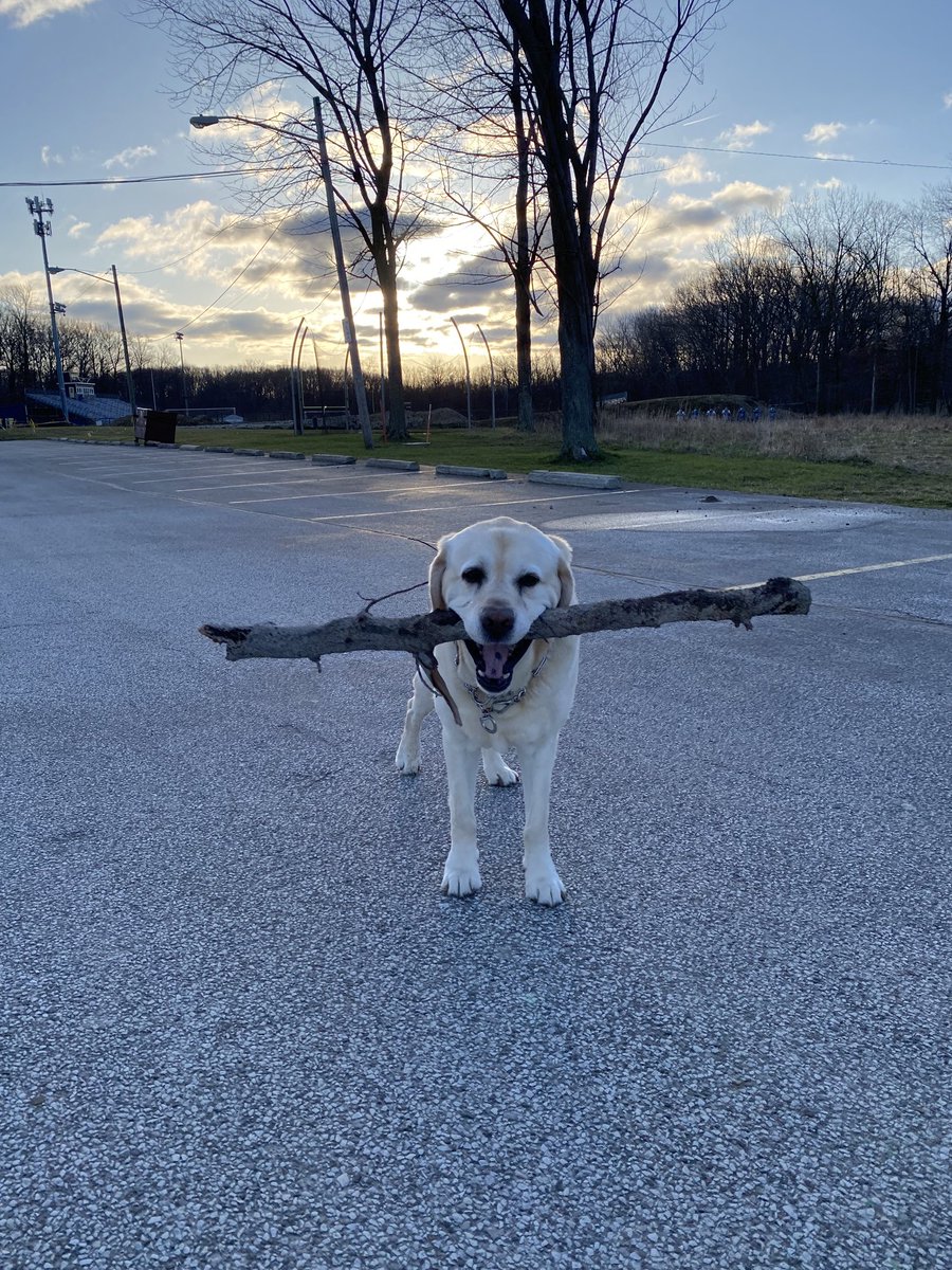 xvermonter61's tweet photo. Sunshine and a stick…❤️
Happy Sunday! 😘#DogsofTwitter #StickDog https://t.co/7542TlEikA