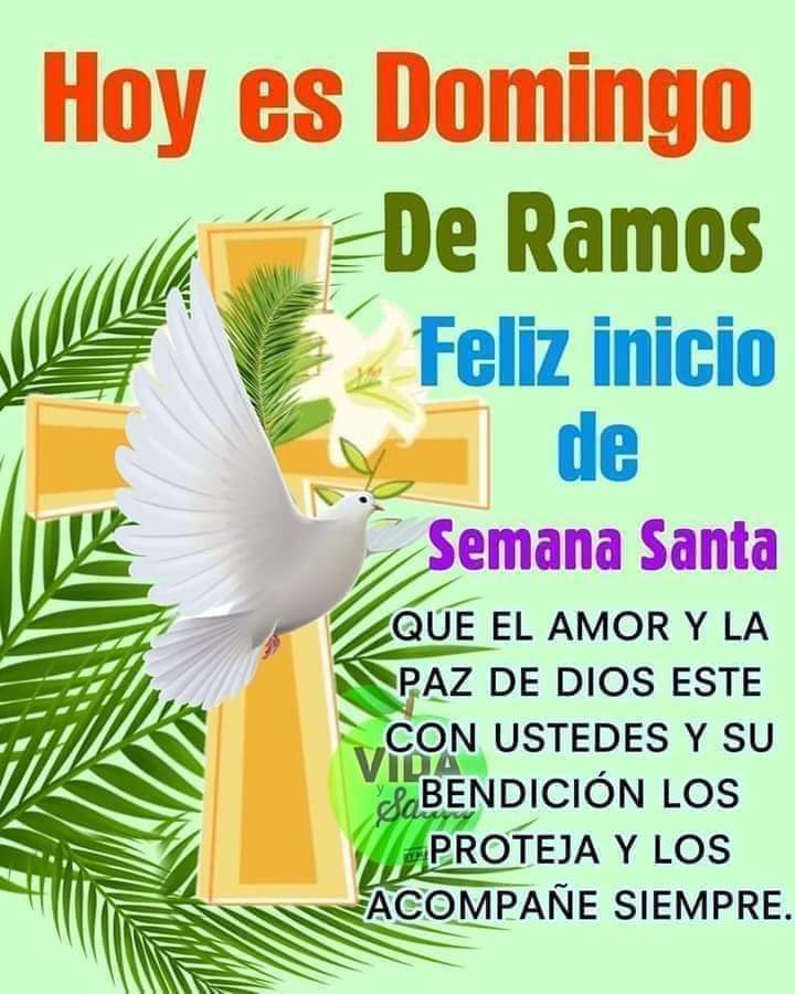npalmi07's tweet photo. @Guaritoto Buenos días estimado amigo ☕ https://t.co/PyBJB724qT