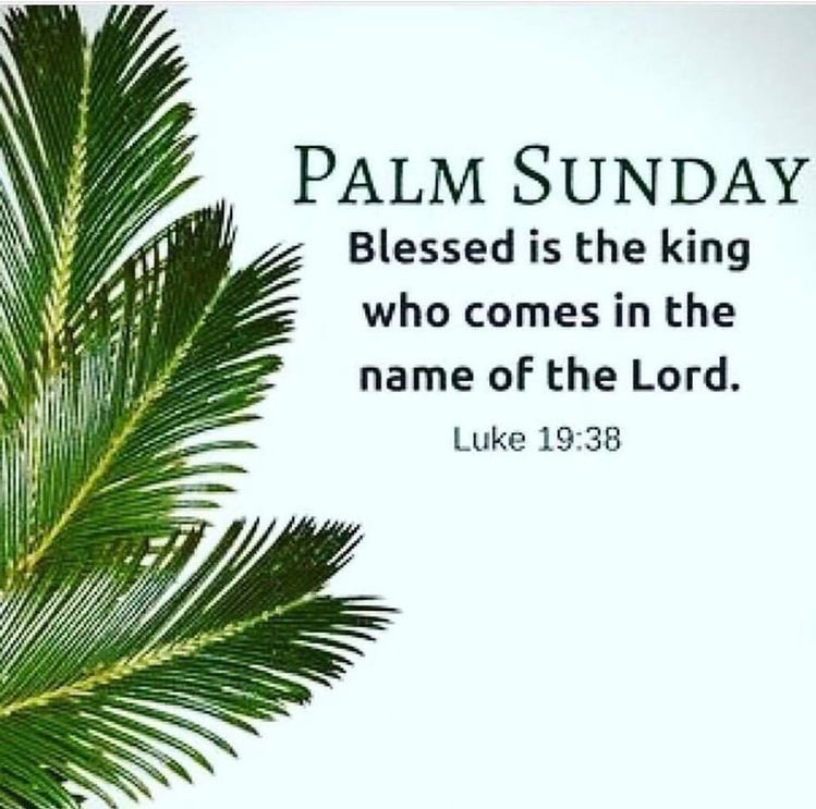“Blessed is the king who comes in the name of the Lord!”“Peace in heaven and glory in the highest!”
biblegateway.com/passage/?searc…