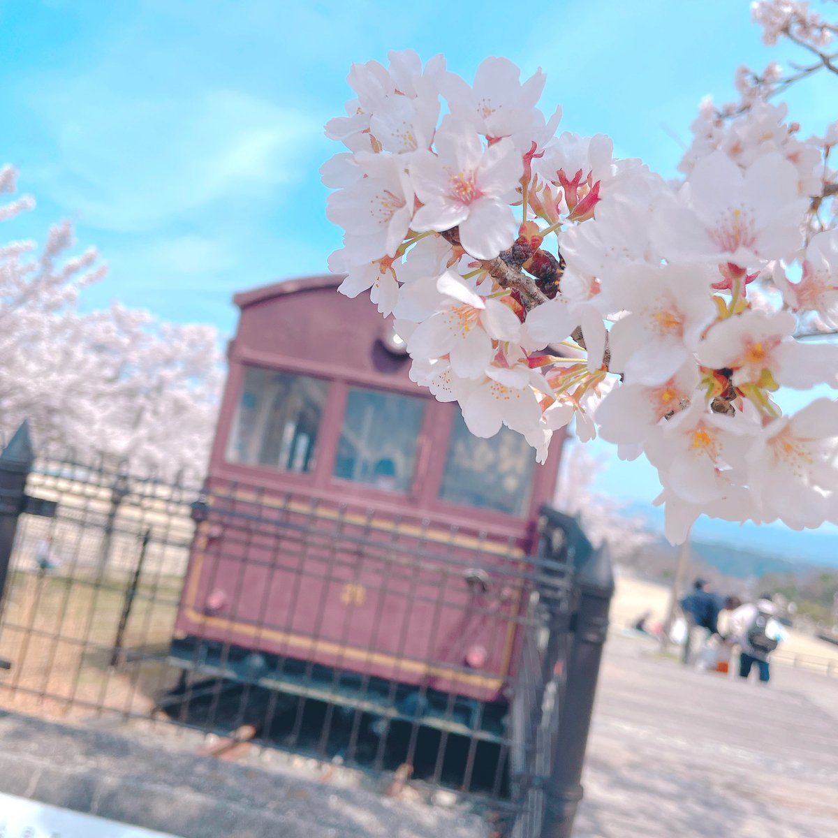 佐倉りんご(@sakura__ringo) - Twilog (ツイログ)