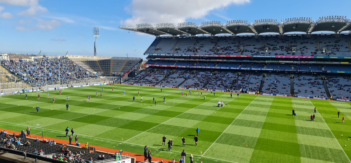 joe bedford tweet media