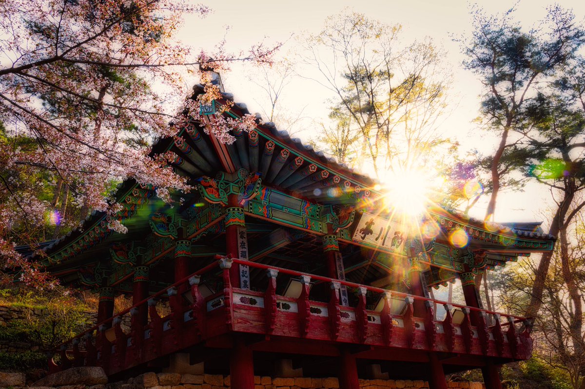 Jason Teale Photo tweet media