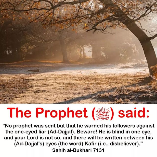 muslimminaapp's tweet photo. https://t.co/nIH5lLZBAK