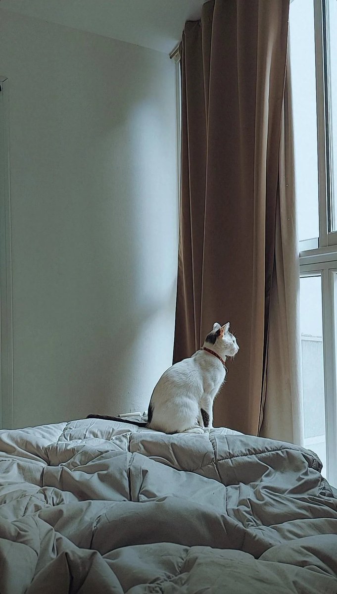 los domingos a la mañana con el y un cafe son todo lo que esta bien 🩶🤎