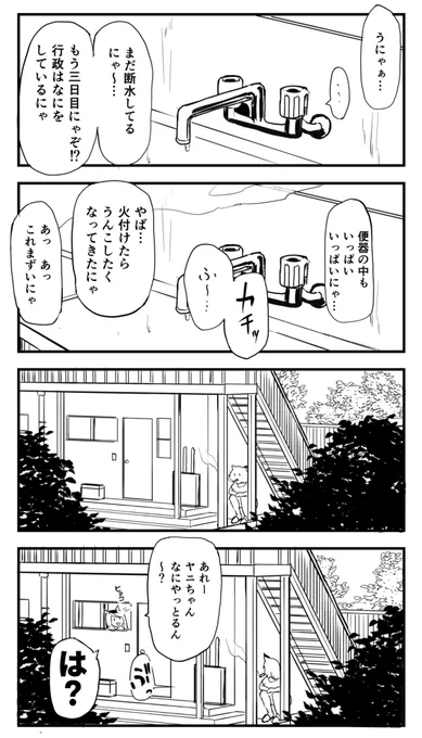 KUSONEKO 