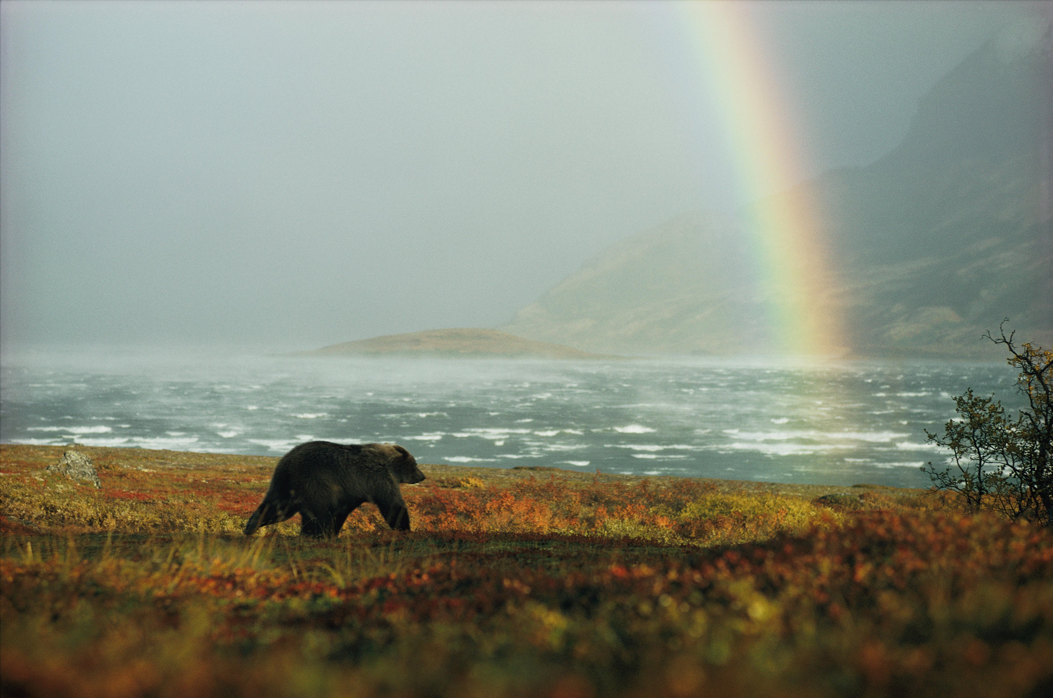 Rainbow Photos, Pictures -- National Geographic