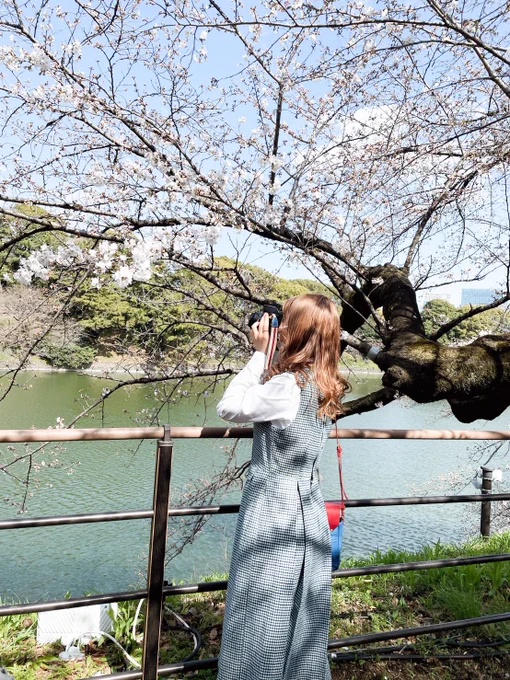 お花見で撮ってもらった写真たちいつも自分が撮る側だから撮られるの新鮮で楽しかったの…! 