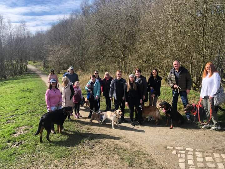 adele_major's tweet photo. @june_rainford @MioCareGroup Perfect weather with our wonderful woofers. https://t.co/AyFtWyCyzY