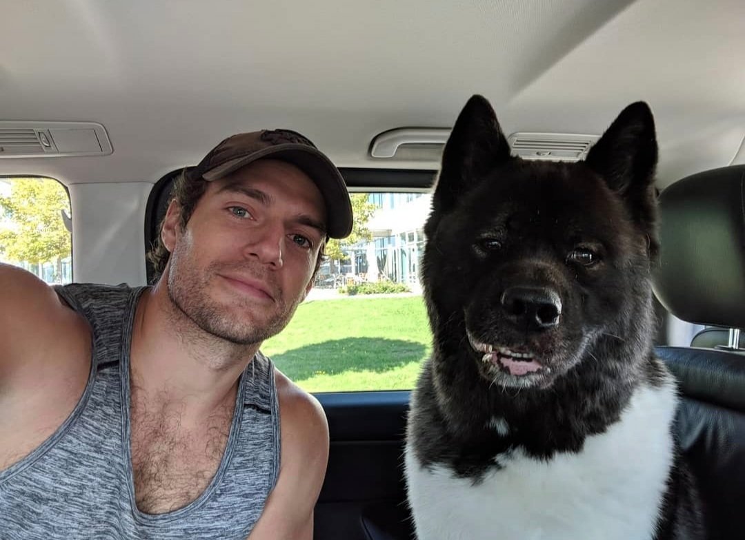 xenia_9755's tweet photo. Dogs are amazing 🥹🐶 #HenryCavill #KalCavill https://t.co/NKzeHFto7N