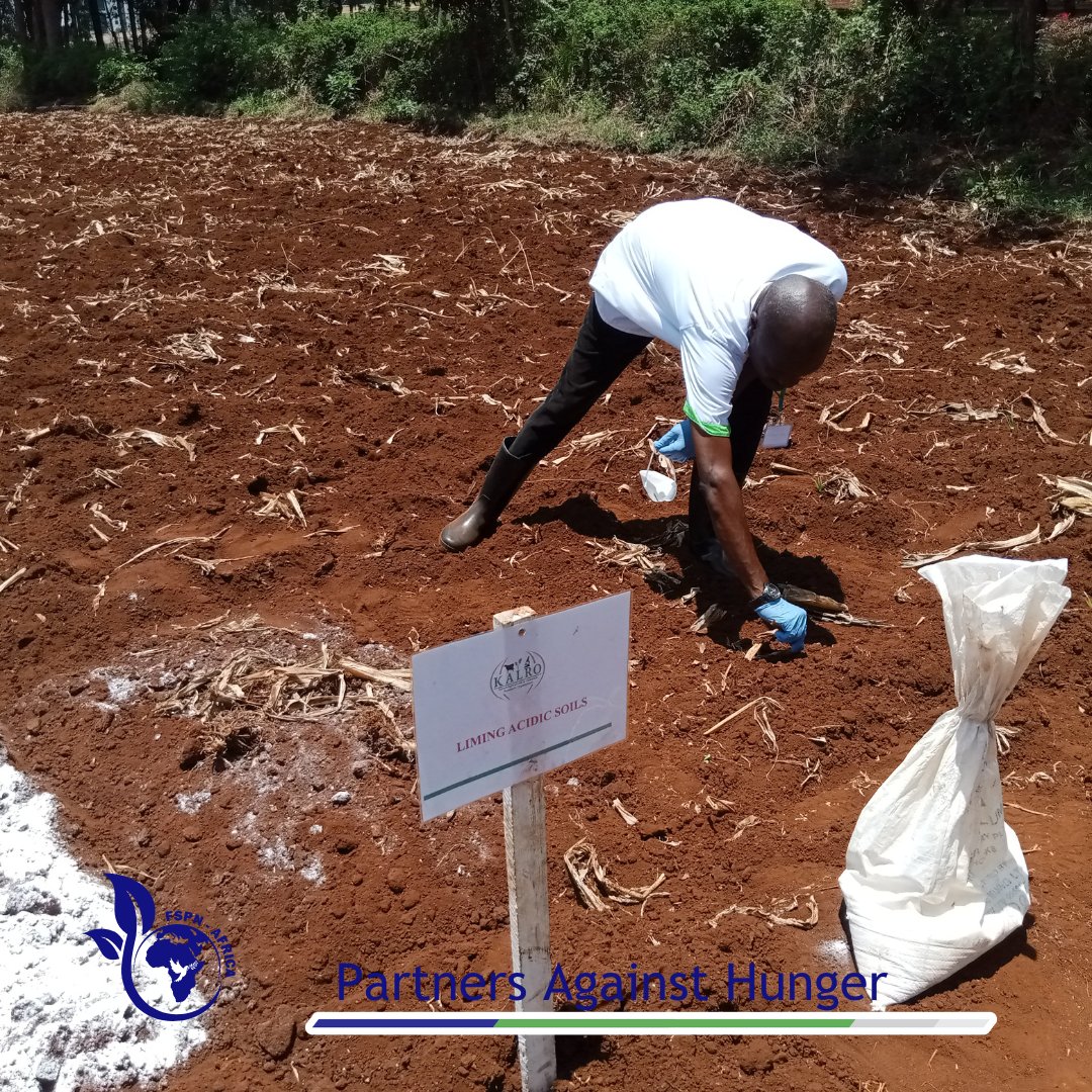 FSPNAFRICA on Twitter "Agronomic expert KALRO NARL Kabete