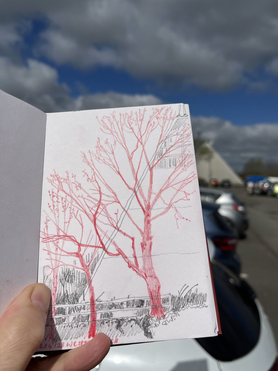 #drawing 3804 #urbantrees at the Weston Favell Centre #northampton #thedailysketch #adrawingaday #usknorthampton @USKNorthampton