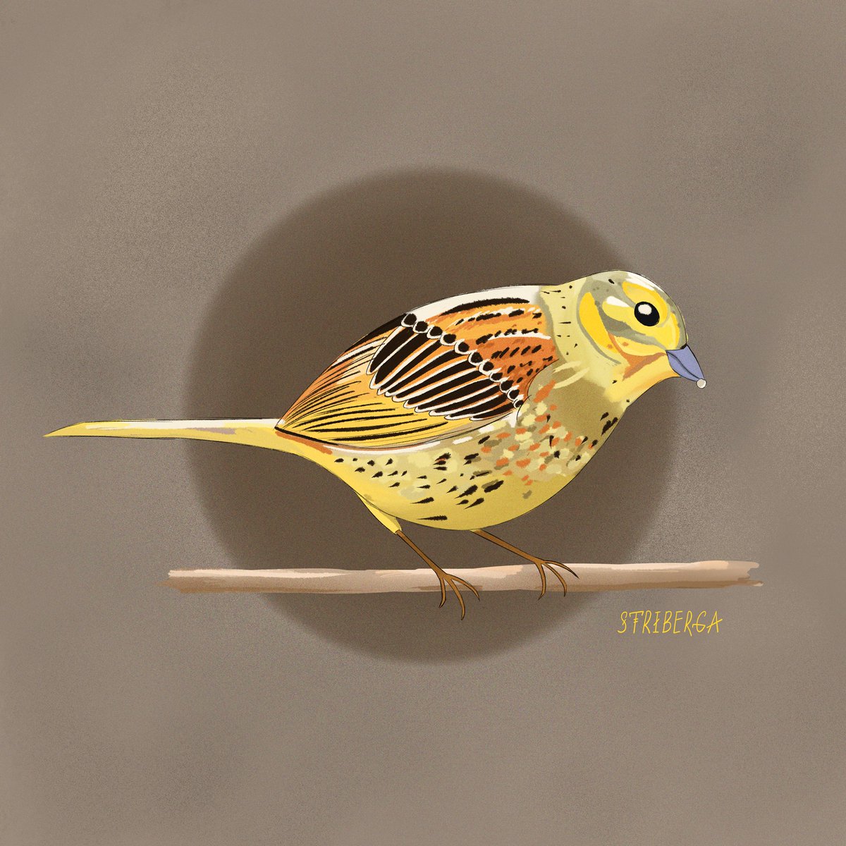 striberga_art's tweet photo. Bird for @LIX_original bird challenge 🦉 Yellowhammer messenger of spring 
#birdftm #NFTfamily #NFTCommmunity https://t.co/9avuk6Vfnx