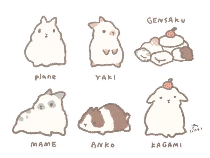 うさもち研究室 