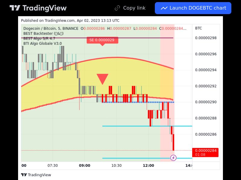 TradingView trade DOGE 5 minutes