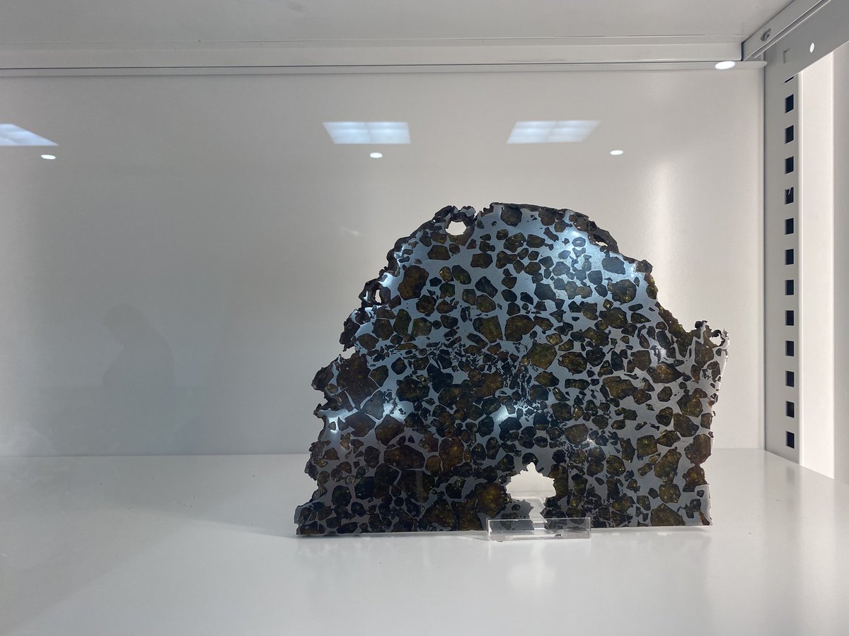 Ismaila Alfa tweet media