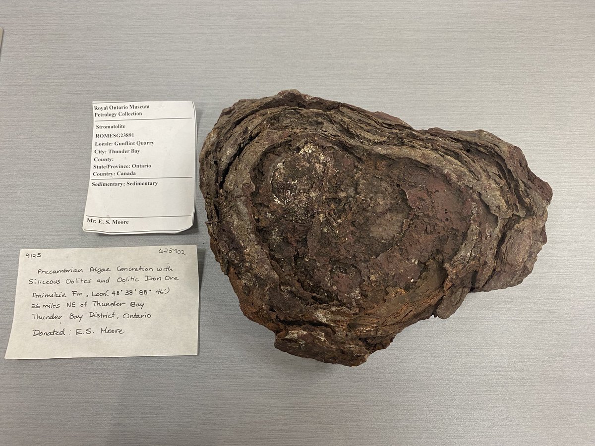 Ismaila Alfa tweet media