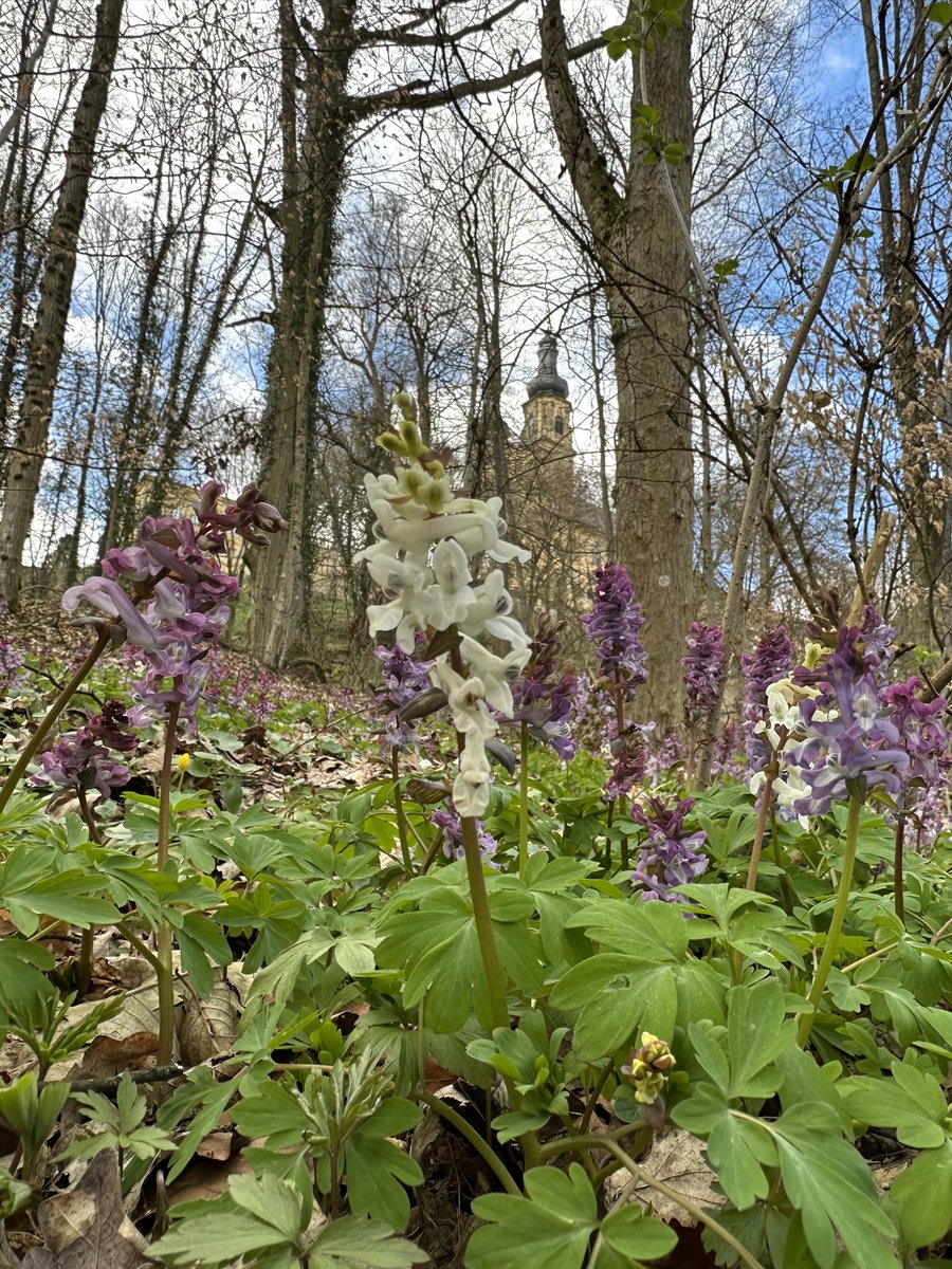 CataLight tweet media