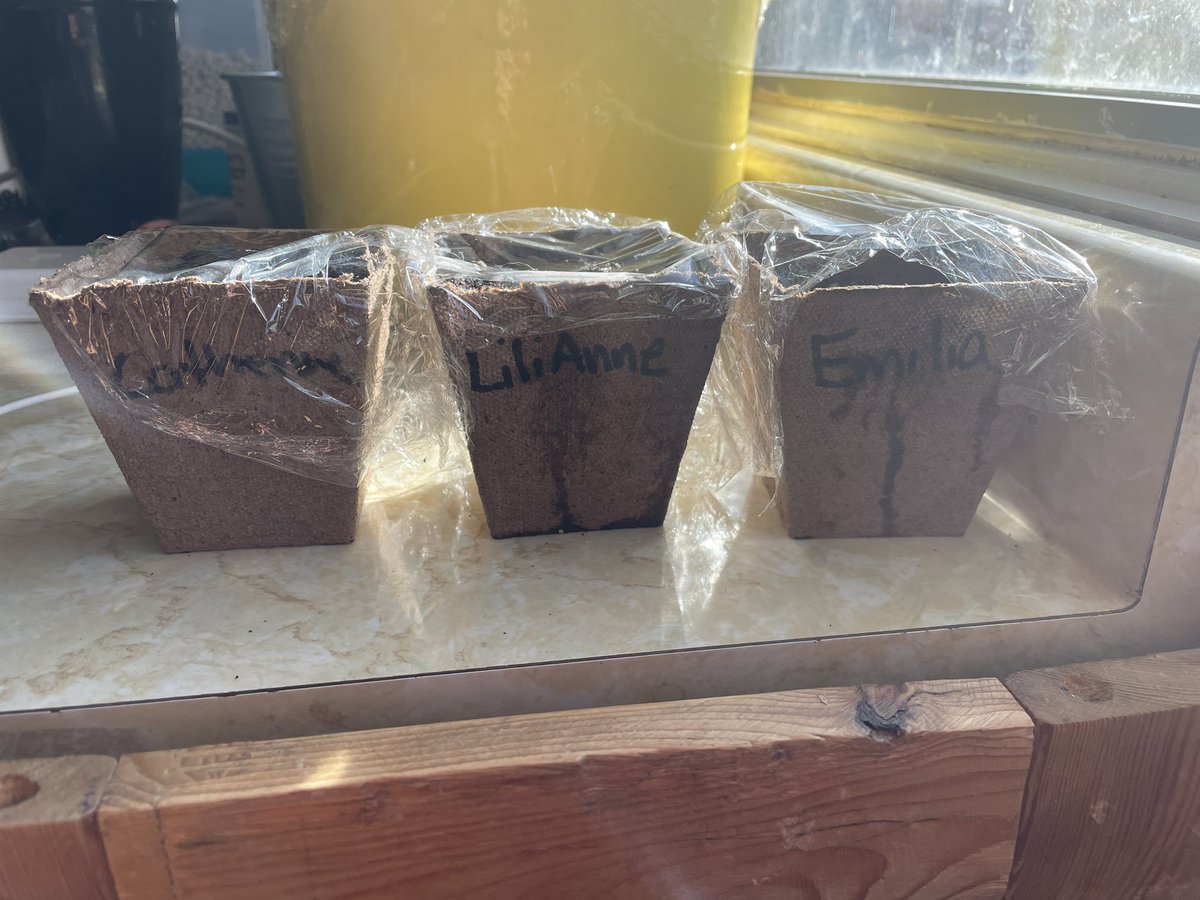 Christine tweet media