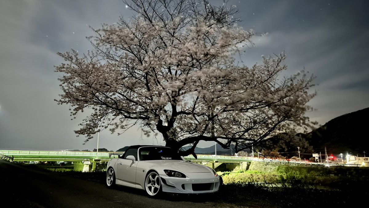 taro7011's tweet photo. S2000×桜🌸 https://t.co/VAkzzb7ELp