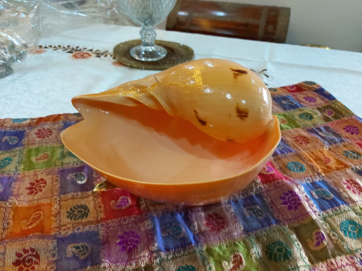 shellwala's tweet photo. Sunday Funday

https://t.co/fQrIyDaLgR

#sunday #love #sundayfunday #weekend #sundayvibes #instagood #photography #instagram #photooftheday #happy #picoftheday #summer #like #follow #beautiful #sundaymood #goodvibes https://t.co/EnD7UFjfbI