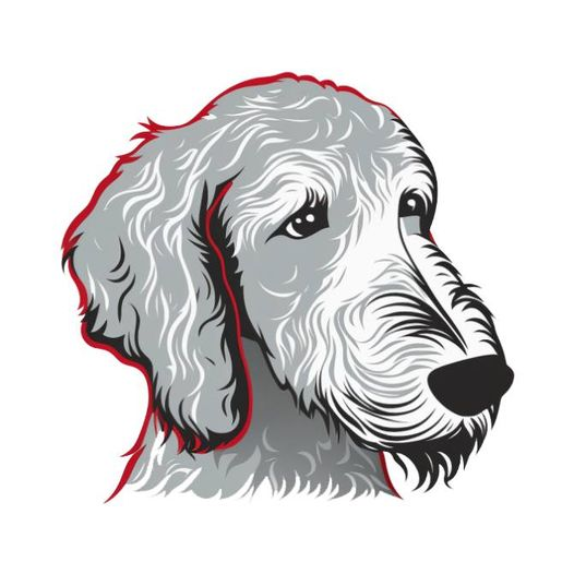 Bedlington_Terrier_Token tweet media