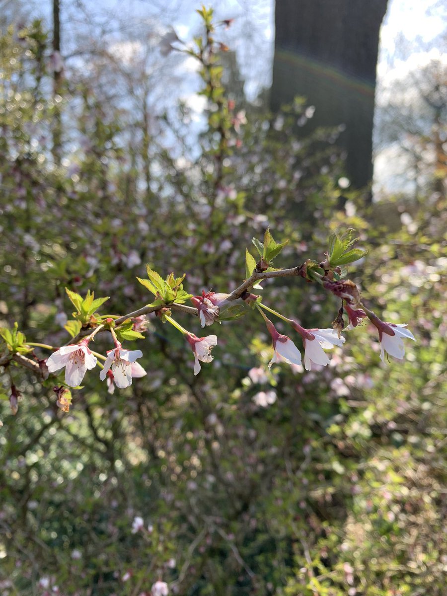 Helen Matthew ⛰🥾🏕🏑🏃‍♀️🚴‍♀️🏋🏼‍♀️ tweet media