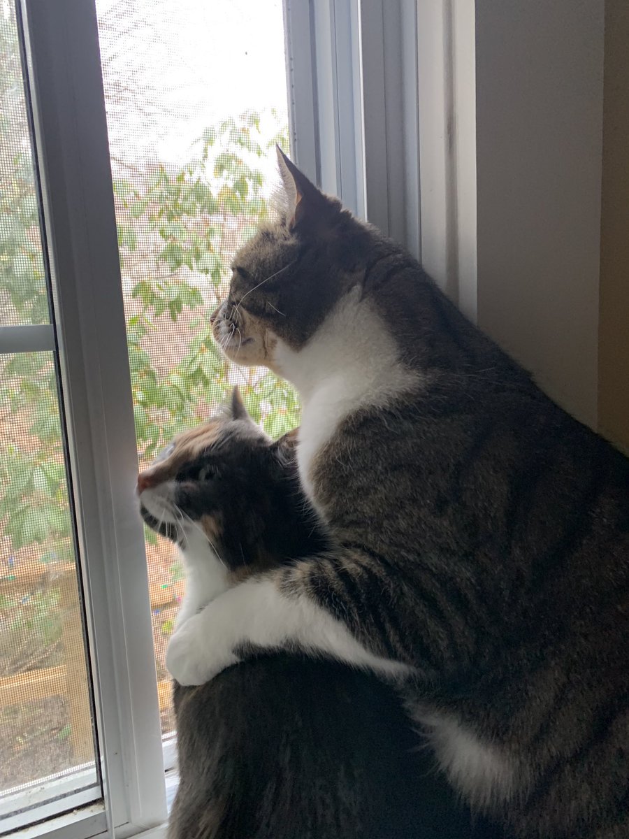 Vicki Bowe tweet media