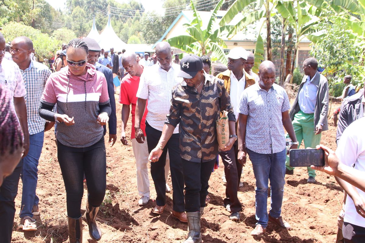 HammerHamm026's tweet photo. Trans-Nzoia County takes pride in being Kenya's food basket and top maize producer. In my agenda, I promised to prioritize agriculture and revitalize all agricultural sectors by keeping farm input costs moderate and making materials more accessible. https://t.co/dlFPtetwe3