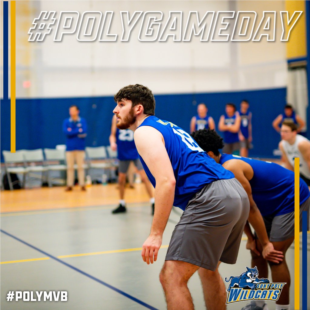 PolyWildcats's tweet photo. #PolyGameday🟡🔵🏐
Men's Volleyball hosts Endicott in @NECCathletics play today.
🕖 - 11:00 AM
📍 - Campus Center Gym
📺📊 - Check our schedule for live coverage links! 
#PolyMVB #d3vb https://t.co/Tfly3g7Ln4
