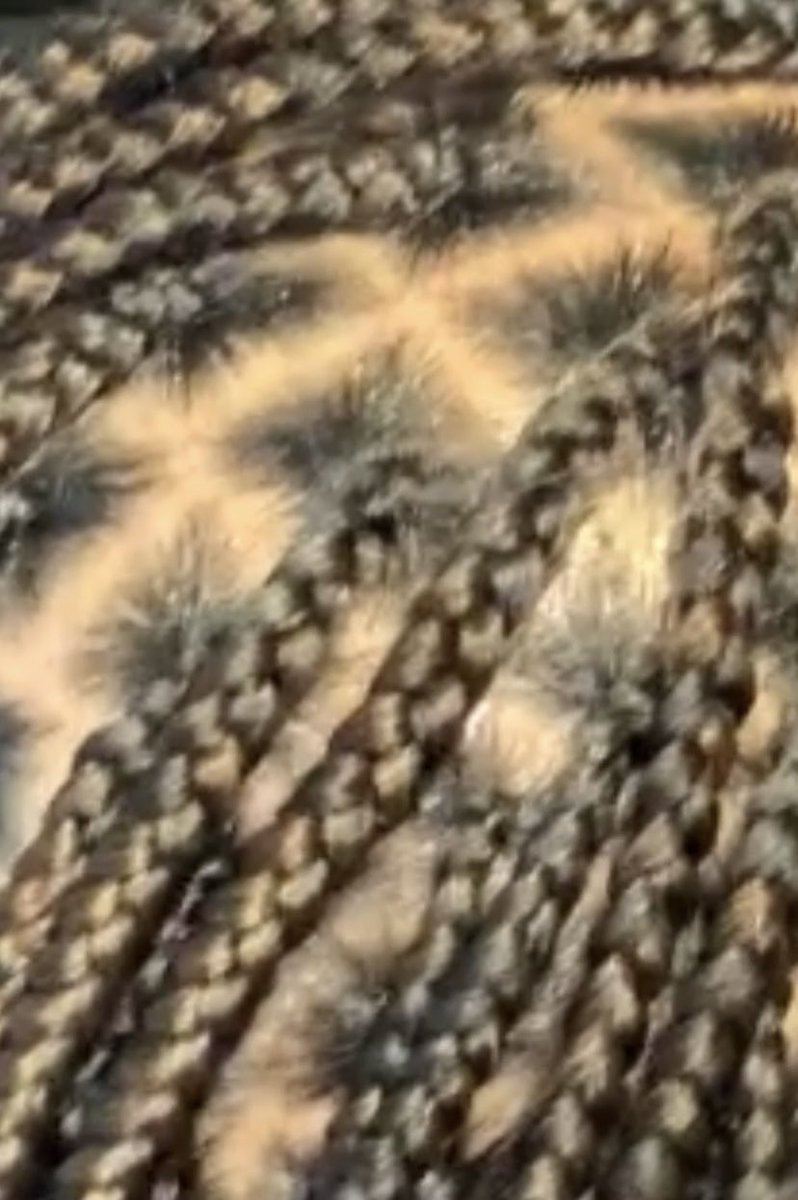 tharealbriannaj's tweet image. Braids All Summer #KNOTLESSBRAIDS #bookthelook !!!!!
#braidedbybri ⚠️📍