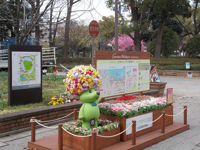横浜の桜めぐり。金色のコルダでは学校の近くの森のモデルとして描かれた、横浜公園です。こちらも３月末の撮影です。春の緑化イ