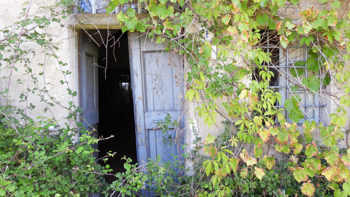 inja5248's tweet photo. #photochallenge #camer_a_pril
dag 2 #huis overgenomen door de natuur "Bella Vista"
#Bucine bella #Toscana 🇮🇹
@jolandabrwr https://t.co/aNujD2pEI2