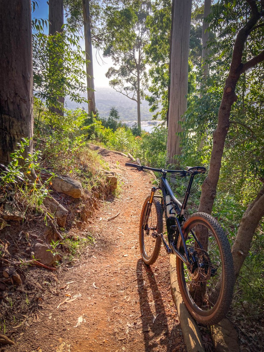 MikevEck's tweet photo. Perfect way to start a Sunday morning. Hitting the trails over the Mother City.

April and May offers the best riding weather in Cape Town. Just sublime.

@iamspecialized 
@foxmtb 
@Armour
@rapha 
@FreewheelZA https://t.co/FB1oWp3jWz