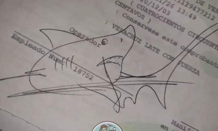 EnsedeCiencia's tweet photo. La firma del Biólogo Marino 🦈 https://t.co/otslVNVmSj