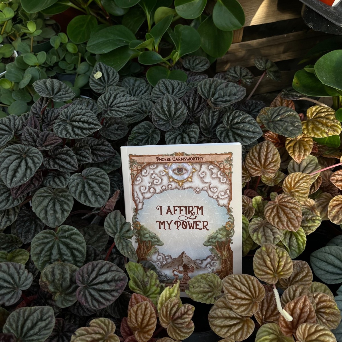 AndrewsMcMeel's tweet photo. Everyday affirmations and rituals to create the life that you desire. Create a sacred space to honor your soul, in I Affirm My Power by @lostnowhere_ 🌿 
https://t.co/BGFShcwgjf https://t.co/YSQSOSb0vb