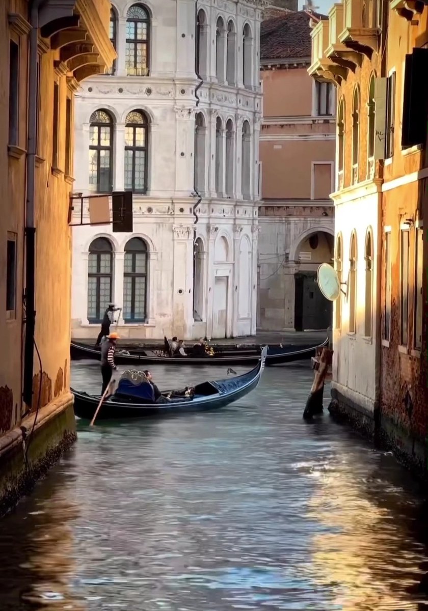 #DomenicadellePalme
a #Venezia

#scattifotografici a
@CasaLettori